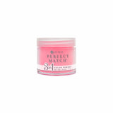 LeChat - Perfect Match Dip Power 42g (#01 - #99)