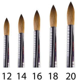 TNM - Beauty Plus Kolinsky 111 A+ Brush Size: 14 - 16 - 18