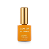 Apres - Gel Couleur 15ml (#G01 - #N06)